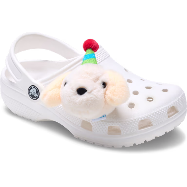 Crocs Record Your Own Sound Birthday