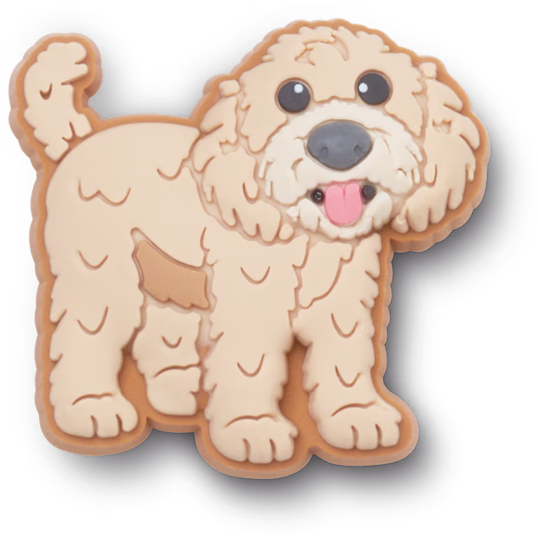 Crocs Golden Doodle Puppy