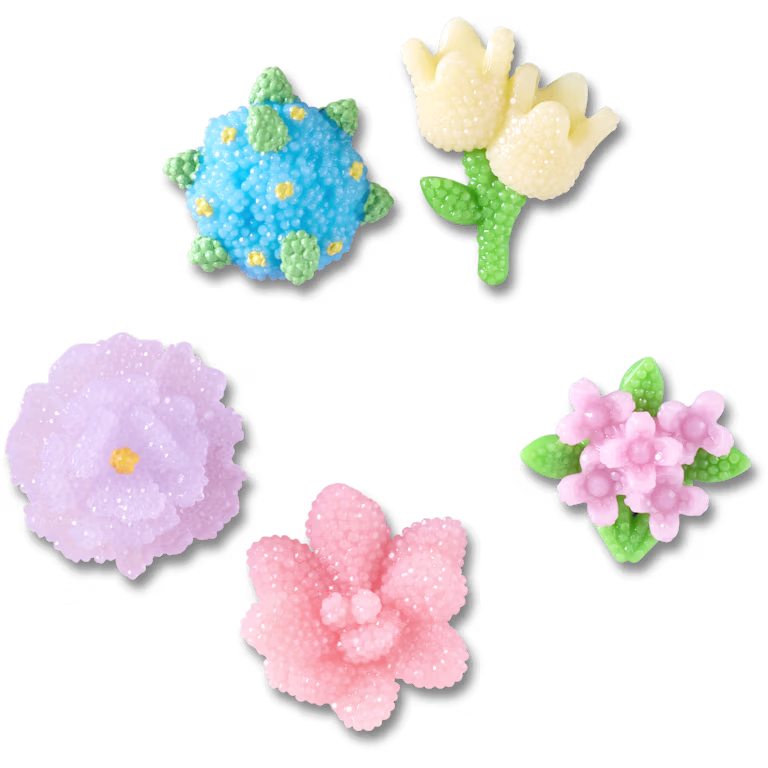 Crocs Beaded Flowers 5 Pack