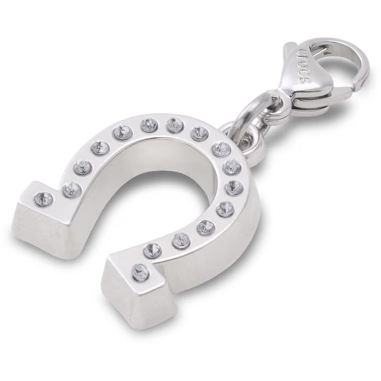 Crocs Lucky Silver Horseshoe Charm