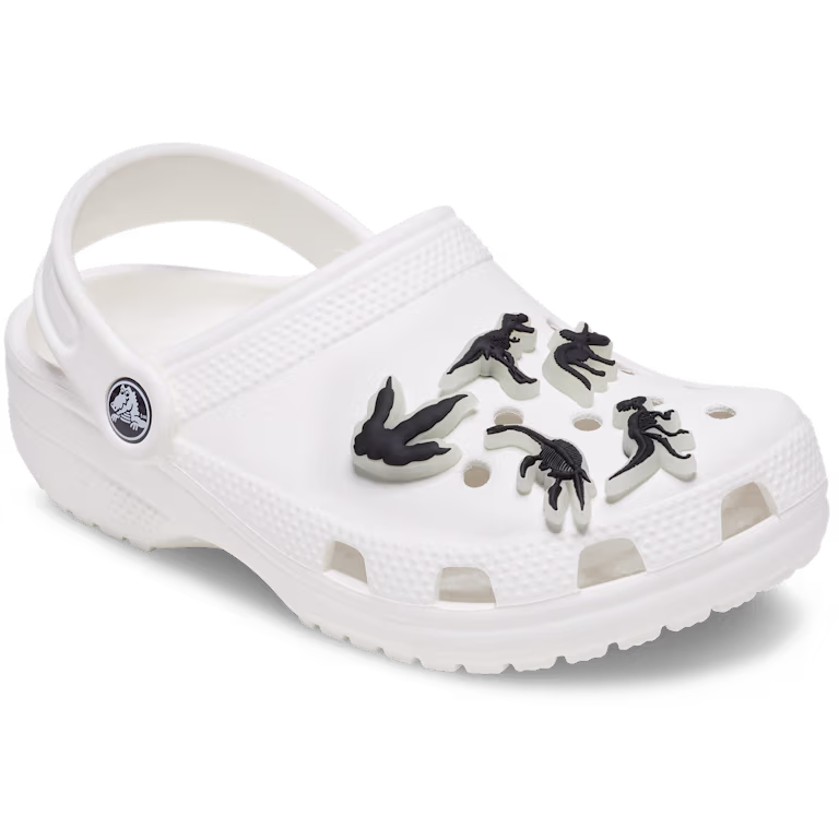 Crocs Glow In The Dark Dino 5 Pack